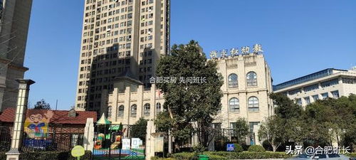 合肥骆岗中央公园北侧唯一商品住宅,实探外拙内秀的信达银杏尚郡